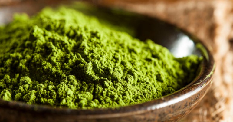 matcha gmi