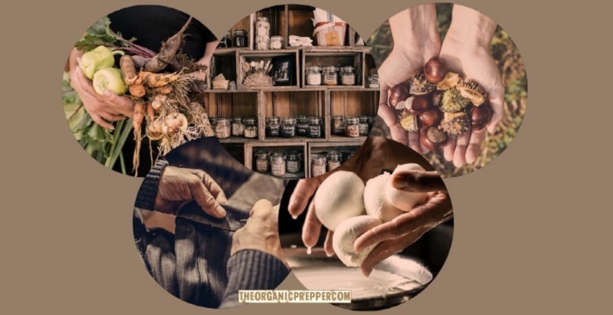 organic prepper organic prepper