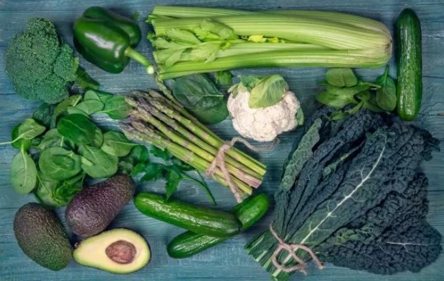 plant diet tt
