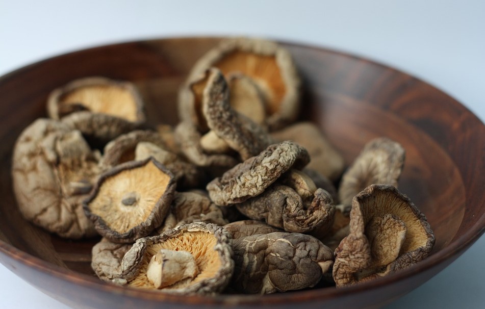 shiitake pics