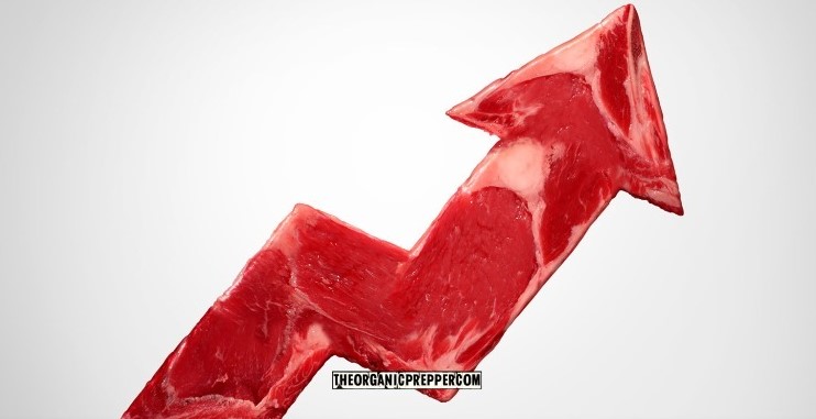 meat prices op