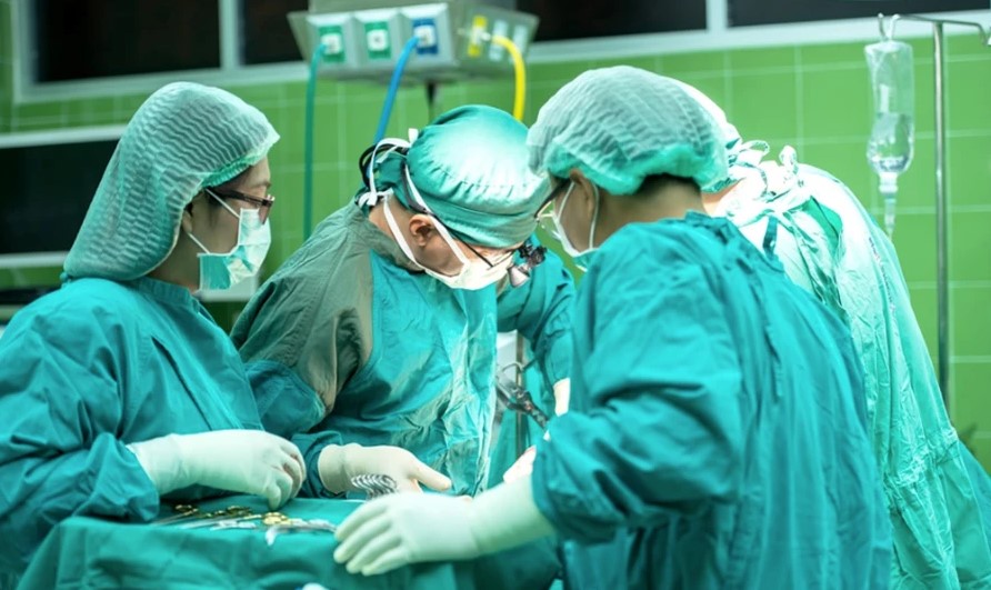 medical pro fee medical pro fee