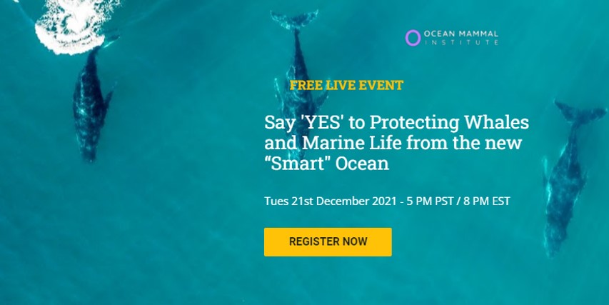 smart ocean smart ocean