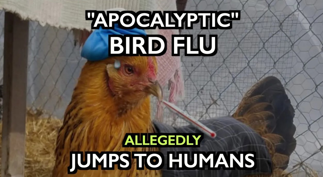 bird flu