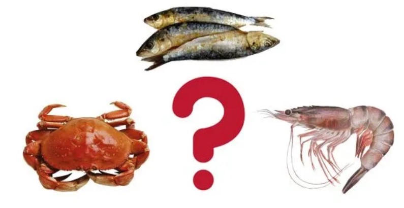 microplastic seafood microplastic seafood