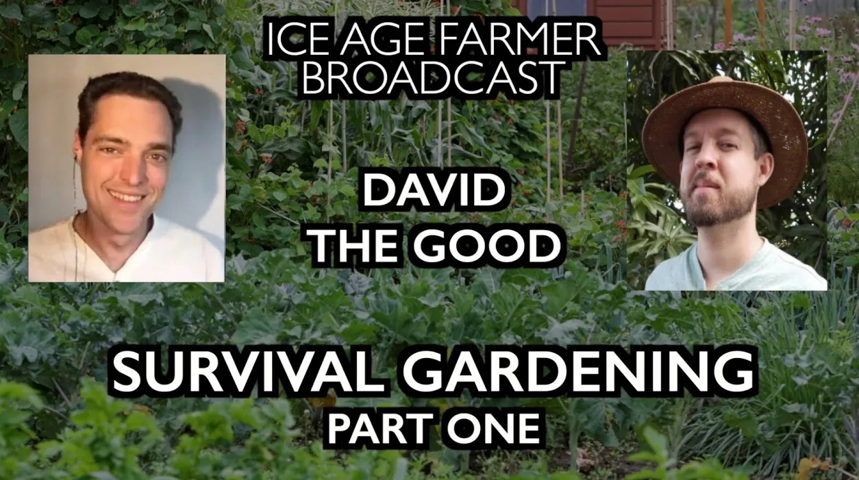 survival gardening survival gardening