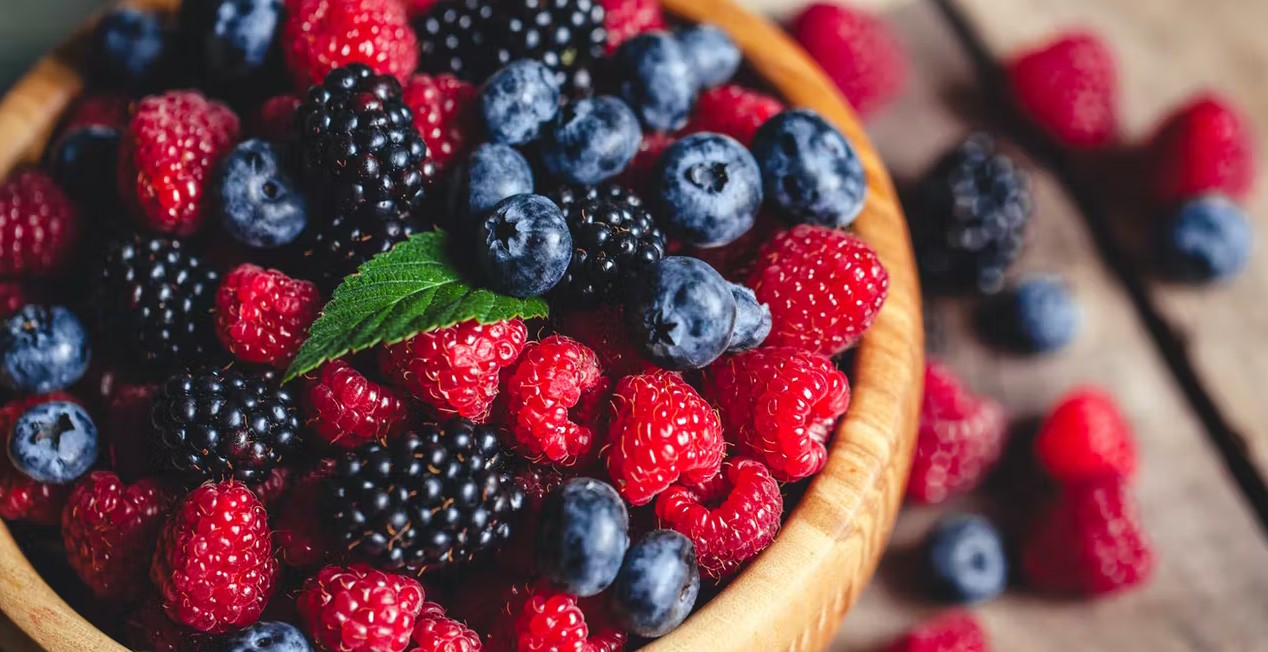 berries conversation berries conversation