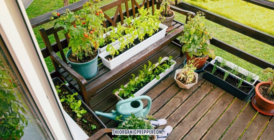apt garden op