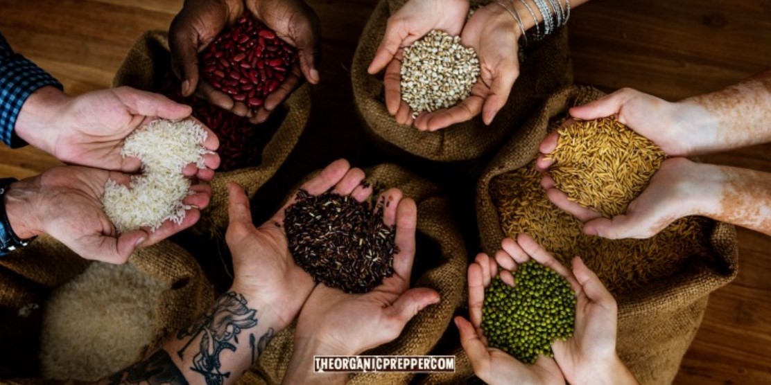 seed share