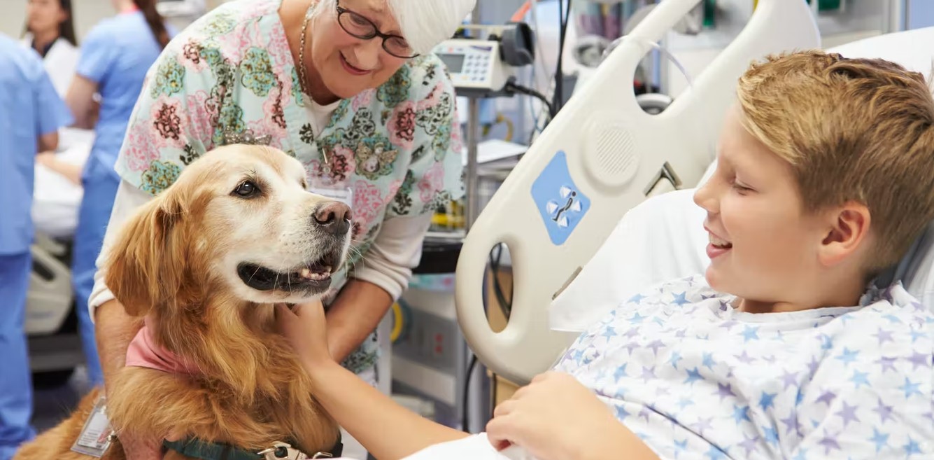 pet therapy