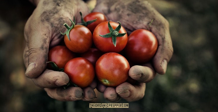 defending-organic-farming