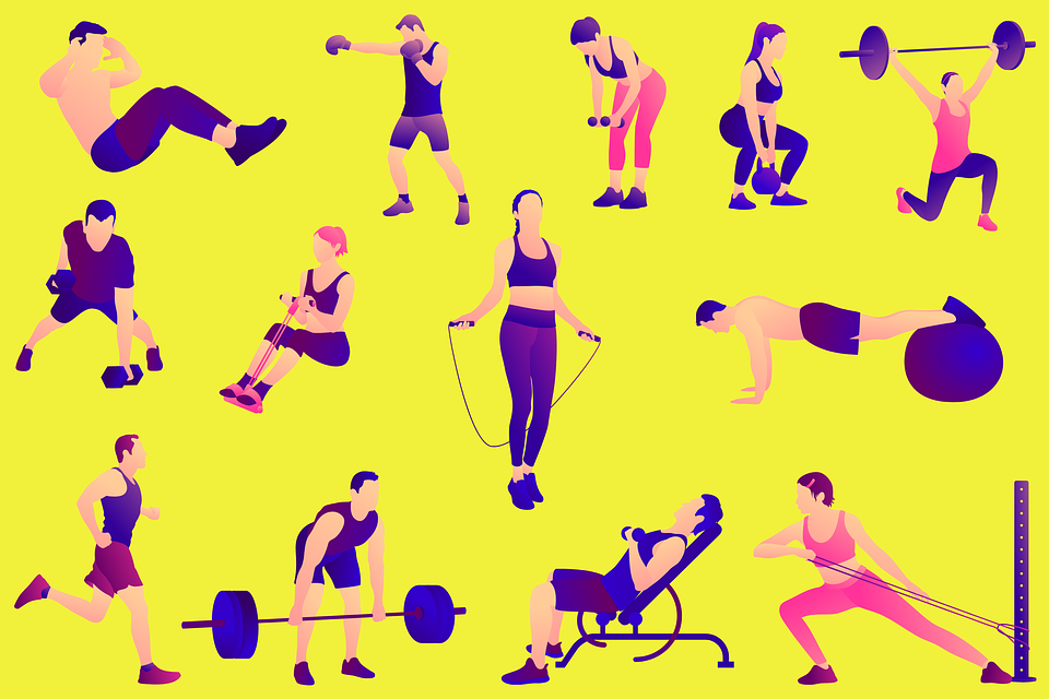 fitness fitness