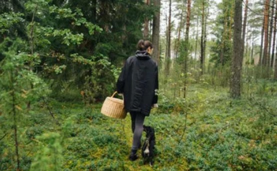forage