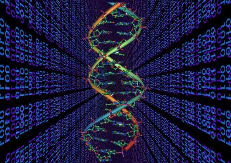 synbio synbio