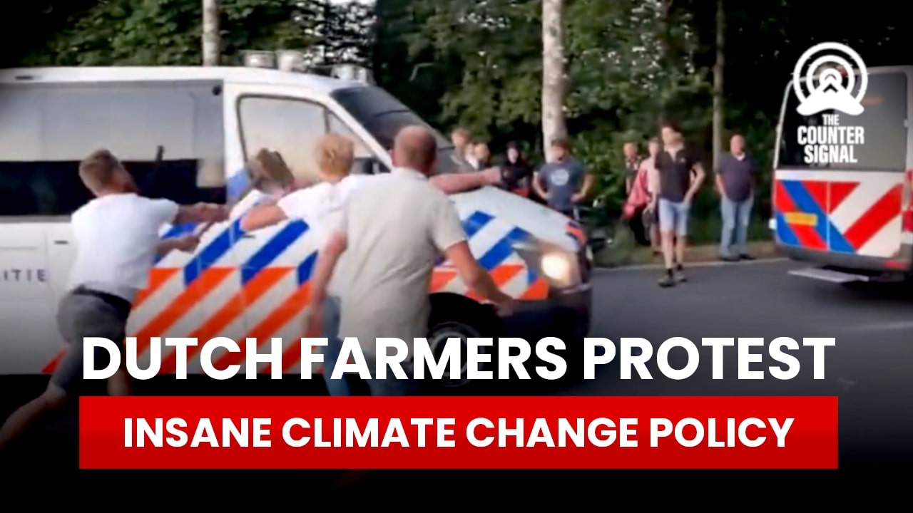 Dutch-farmers Dutch-farmers