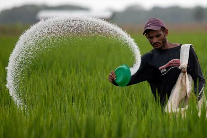 fe-Fertilizers1