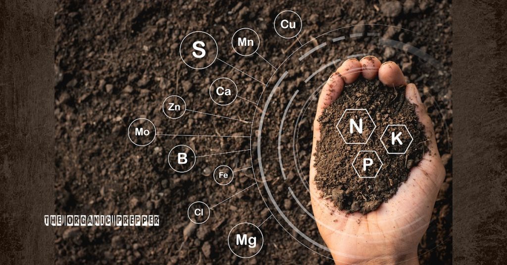 garden-nutrients-1024x536 garden-nutrients-1024x536