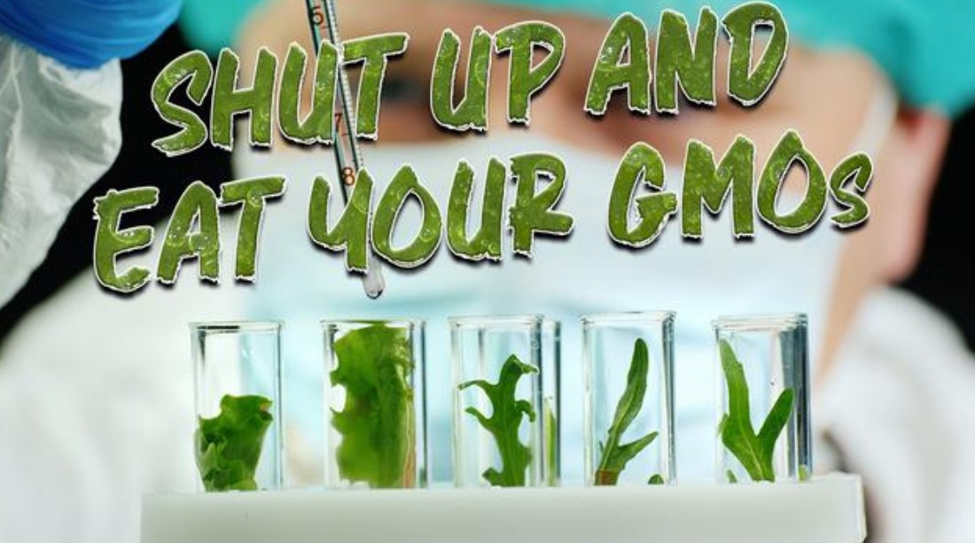 gmo corb gmo corb