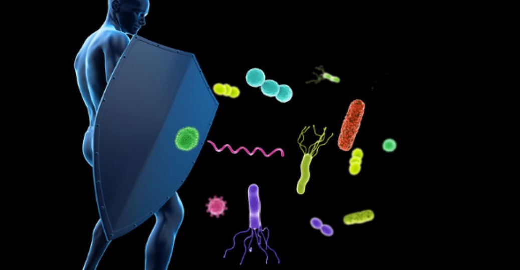 immune gmi