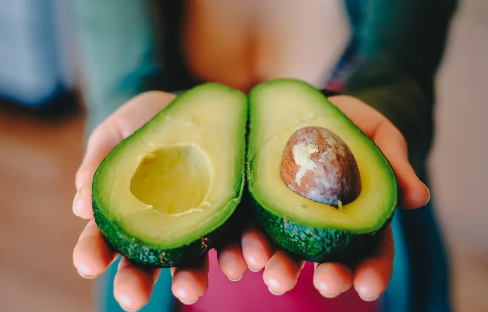 avocado-2115922-scaled avocado-2115922-scaled