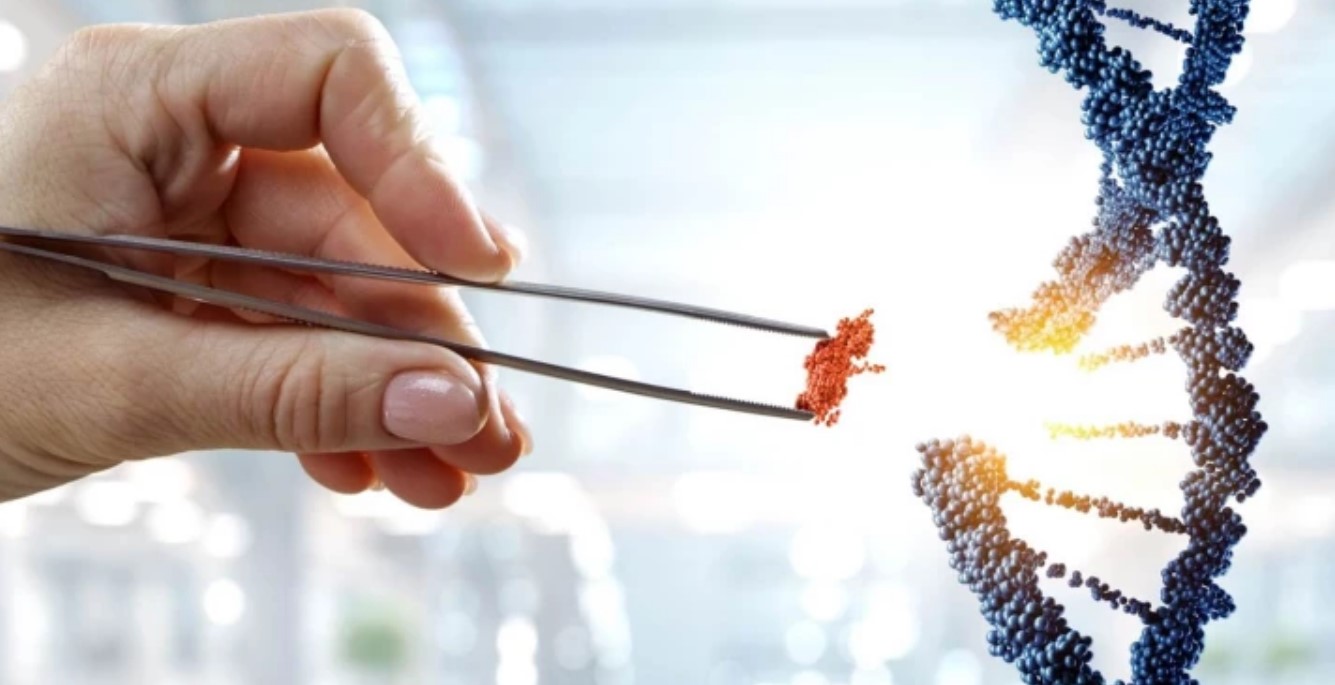 crispr 2 crispr 2