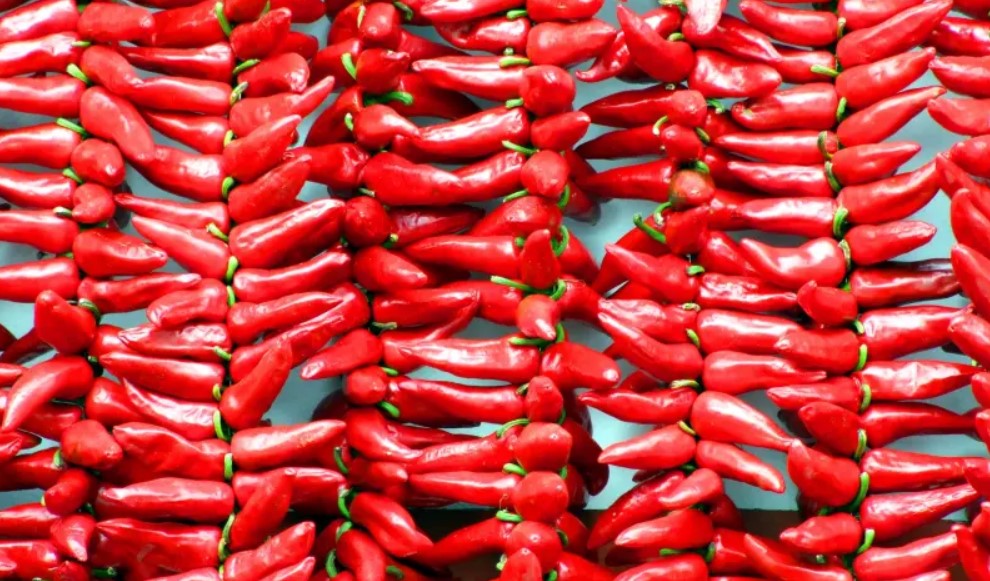 chili peppers sf