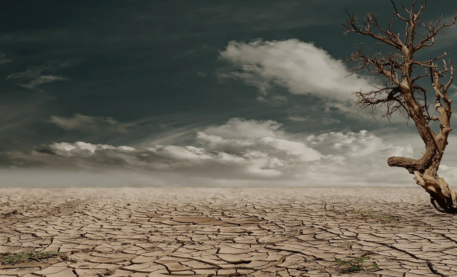 drought ecb sn drought ecb sn