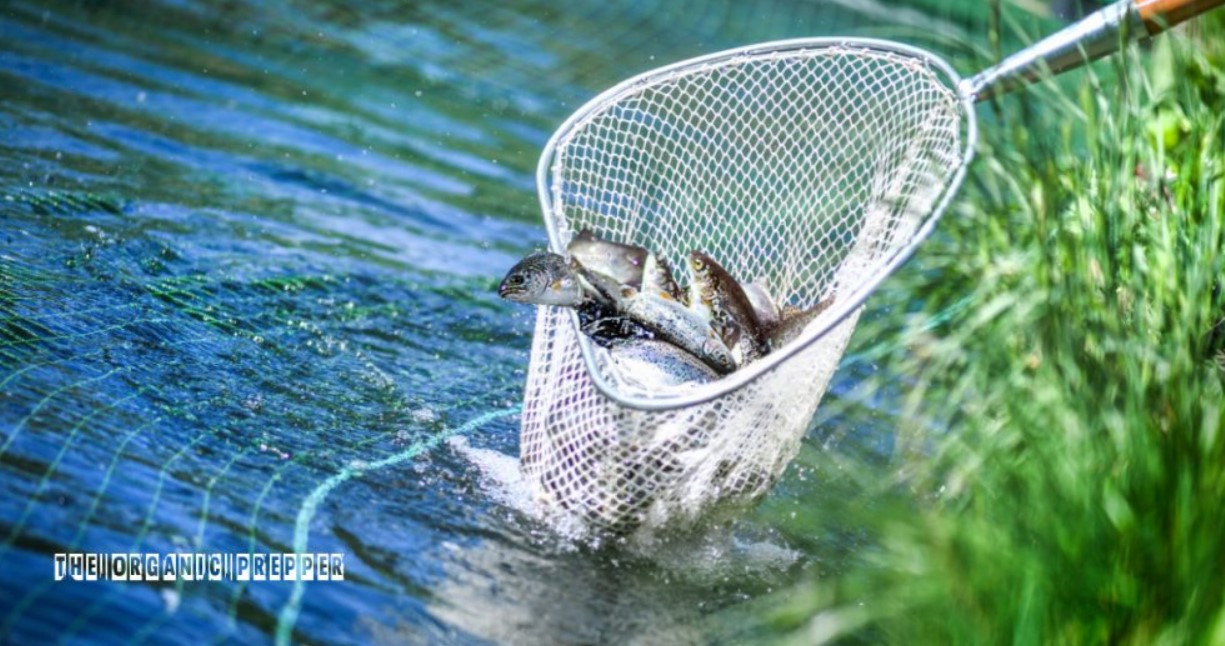 fishing op