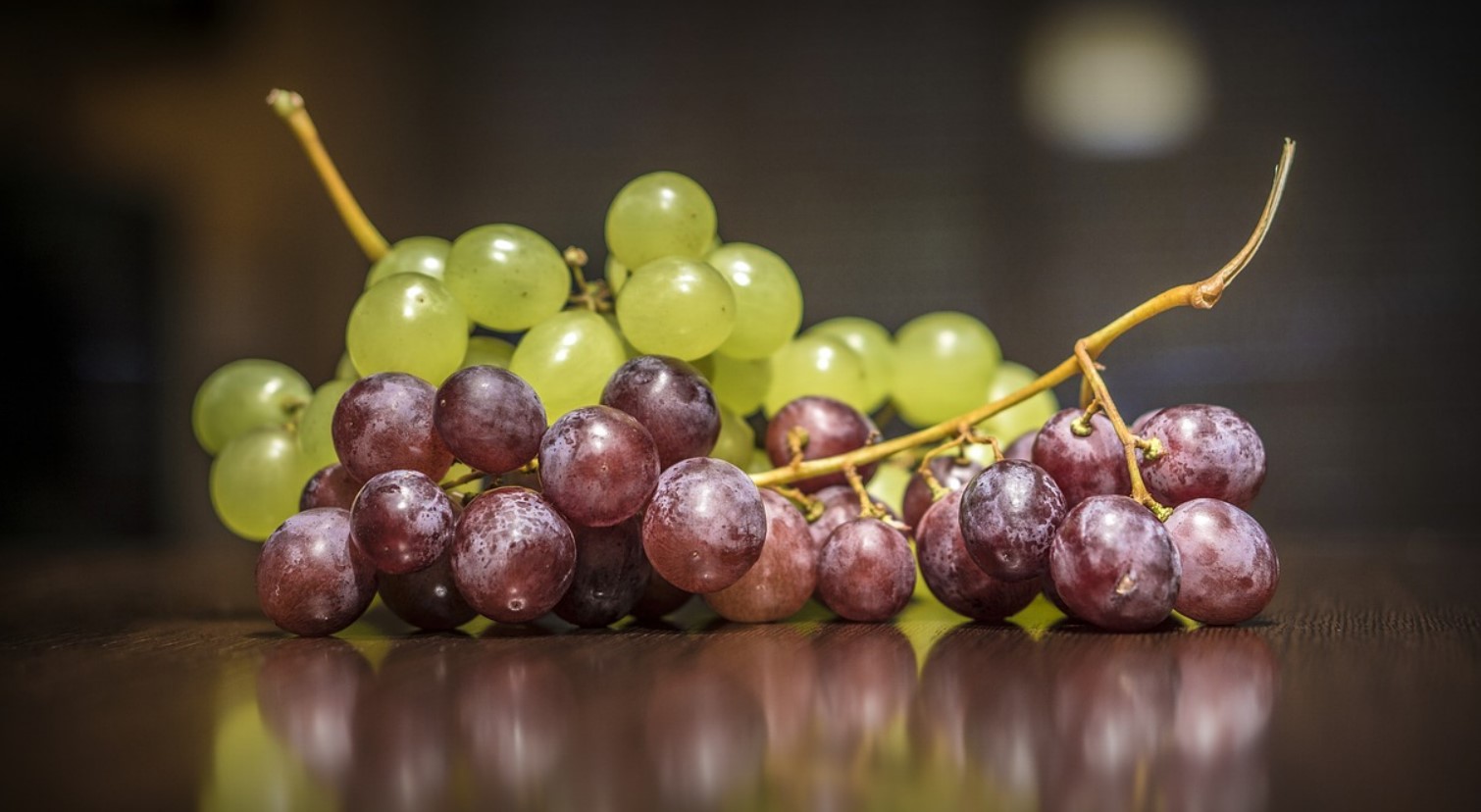 grapes