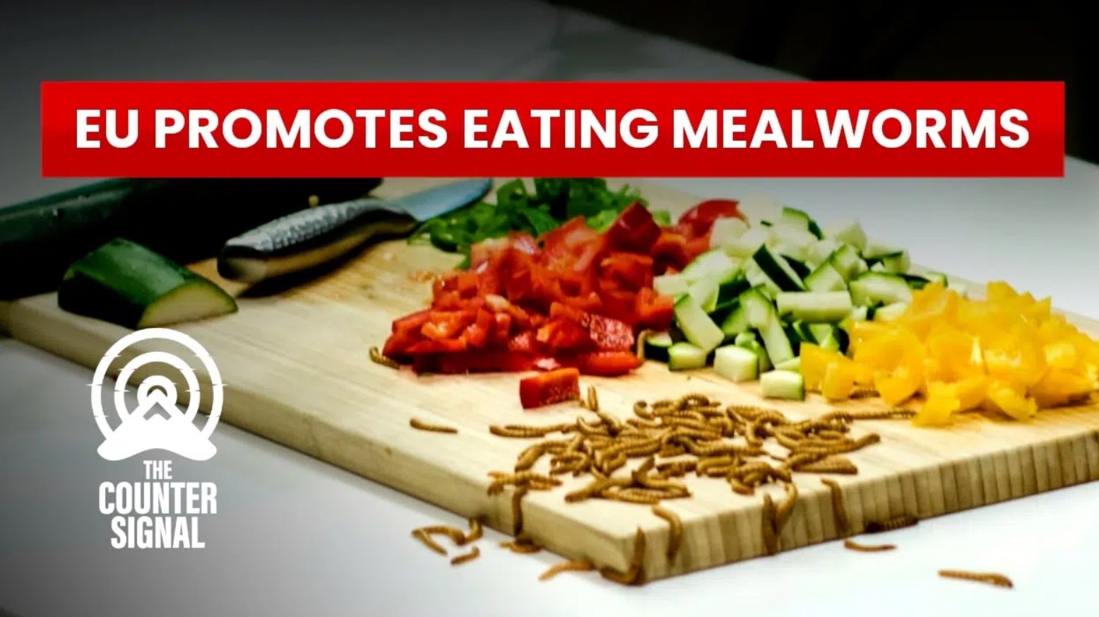 mealworm