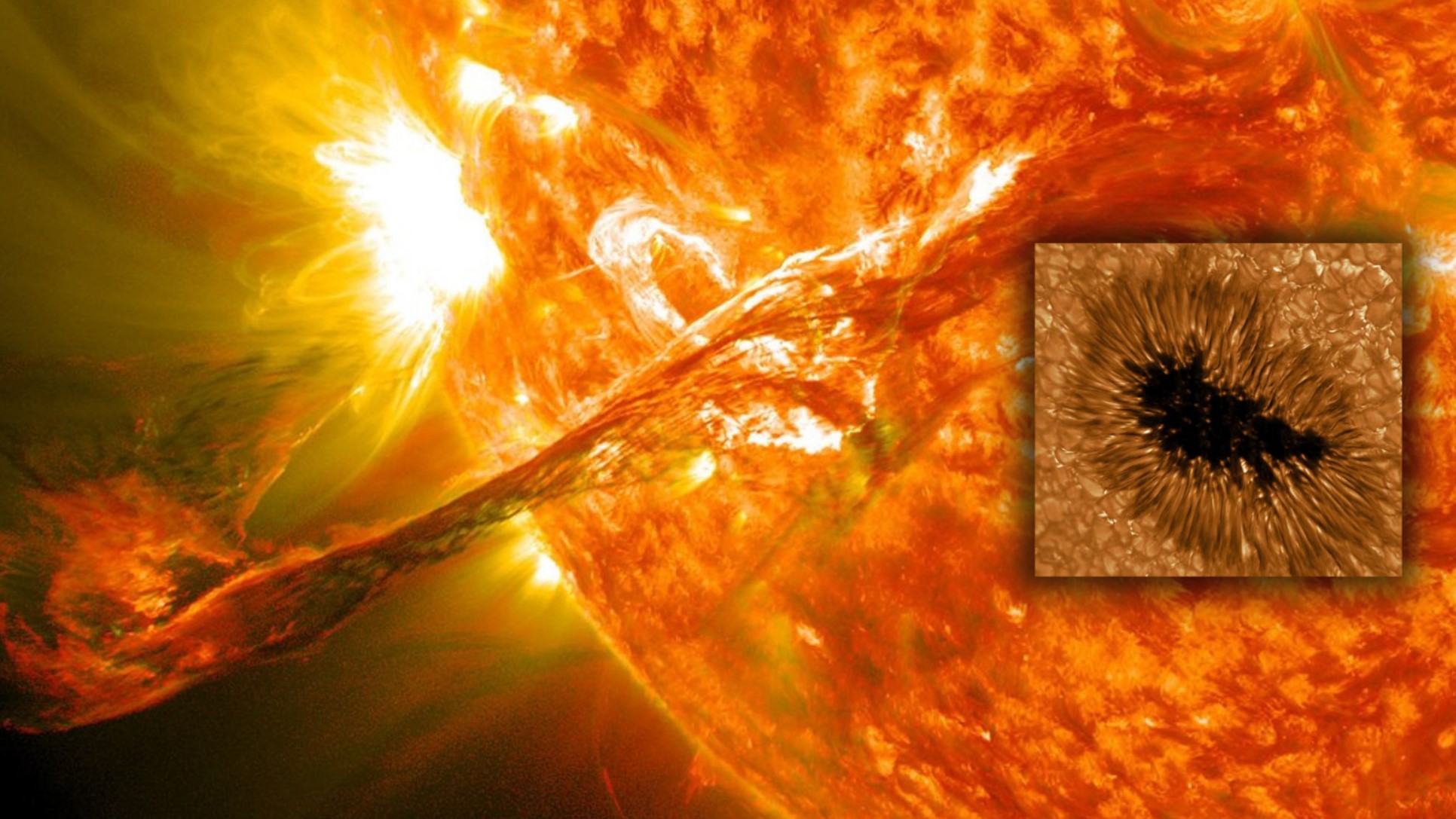 sunspot tmu
