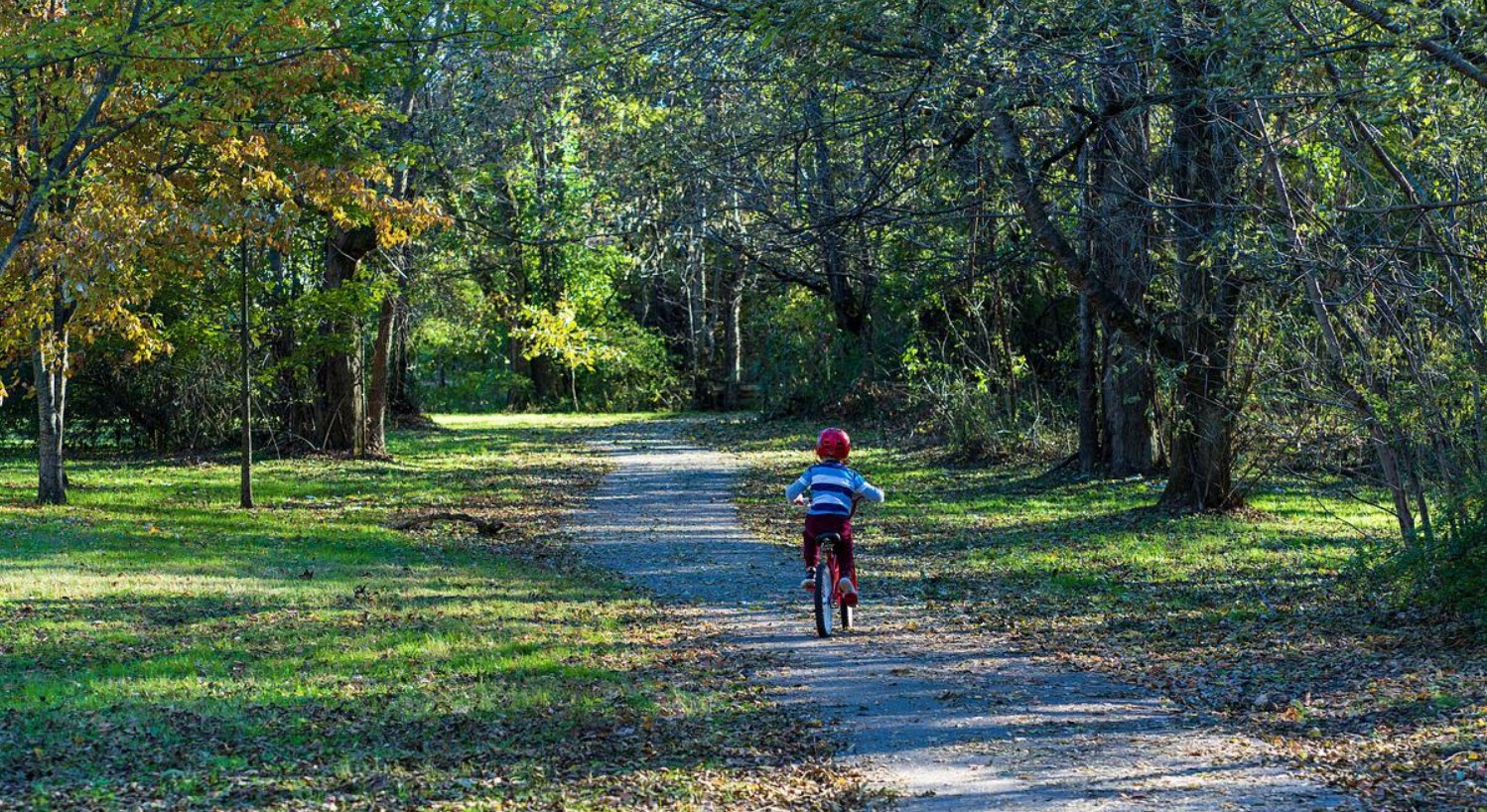 child activity pixa child activity pixa