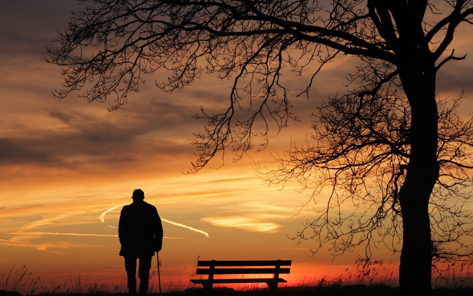 elderly alone pixa