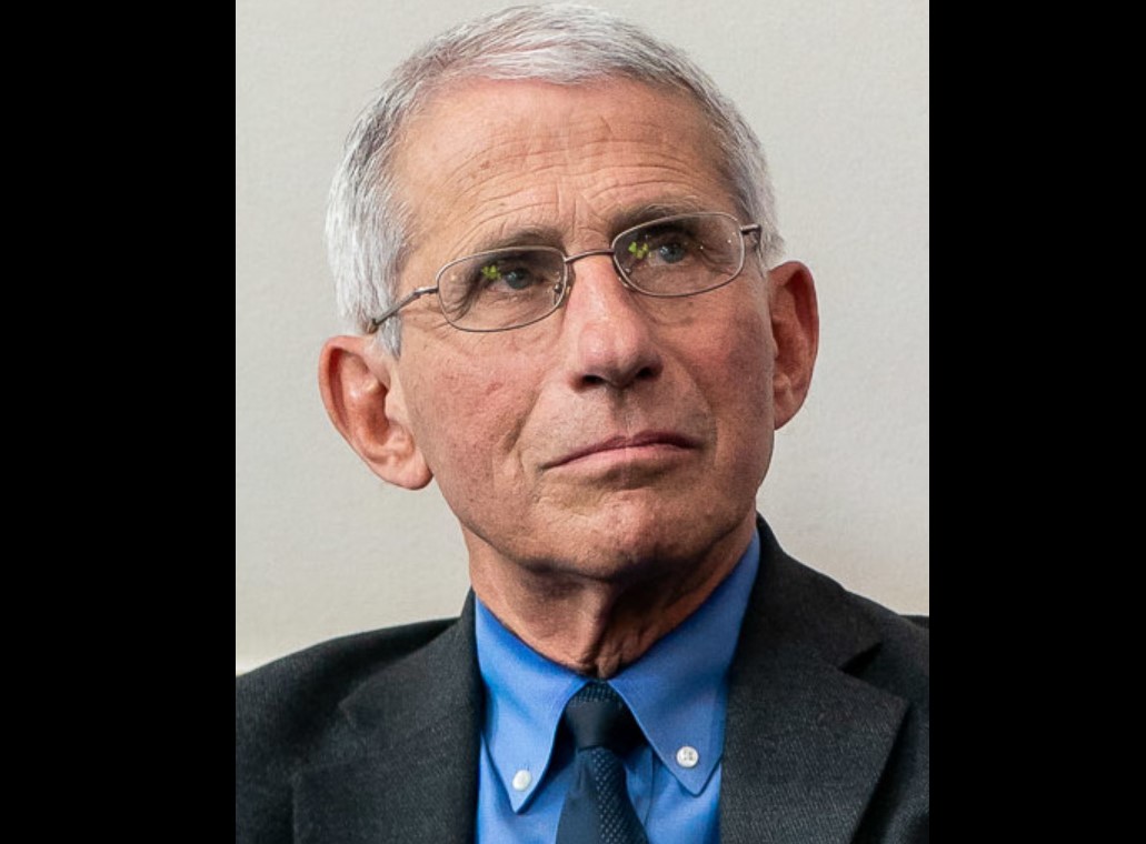 fauci wiki