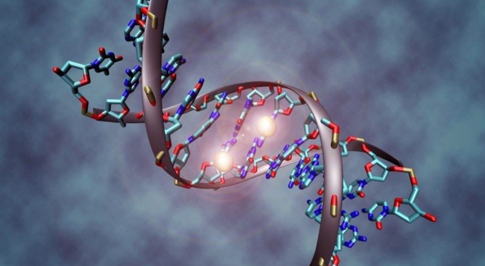 genetic engineering wikimedia