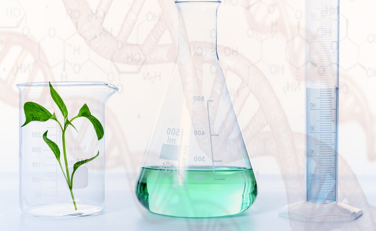 genetic experiment pixa genetic experiment pixa