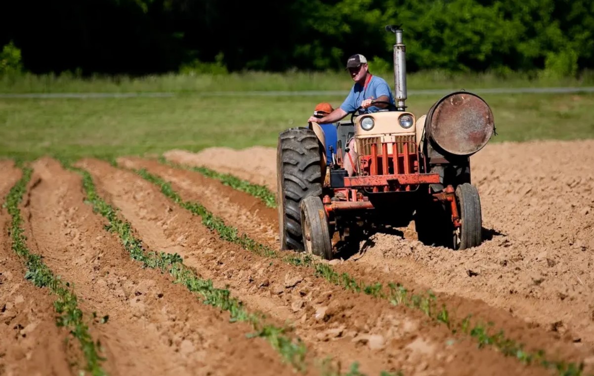 lonley farmer sf