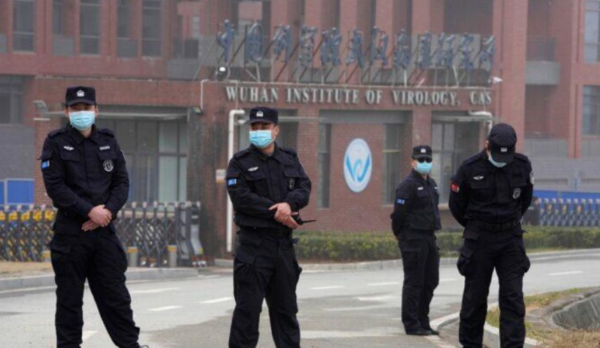 wuhan virology wuhan virology