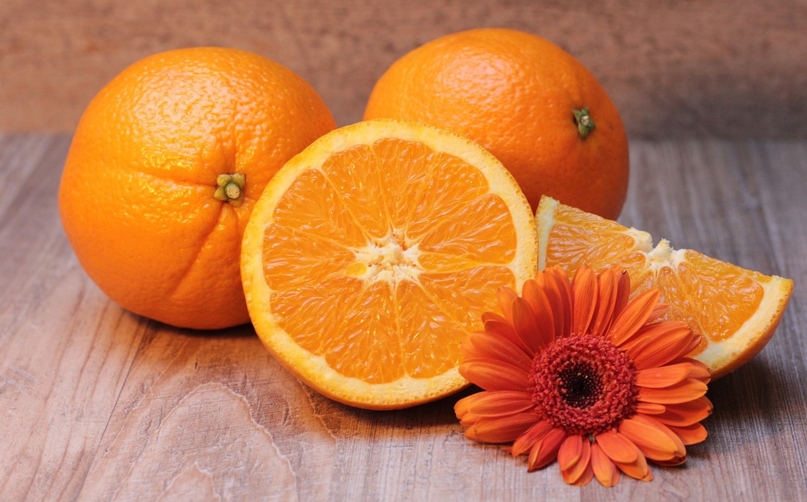 florida orange pixa florida orange pixa
