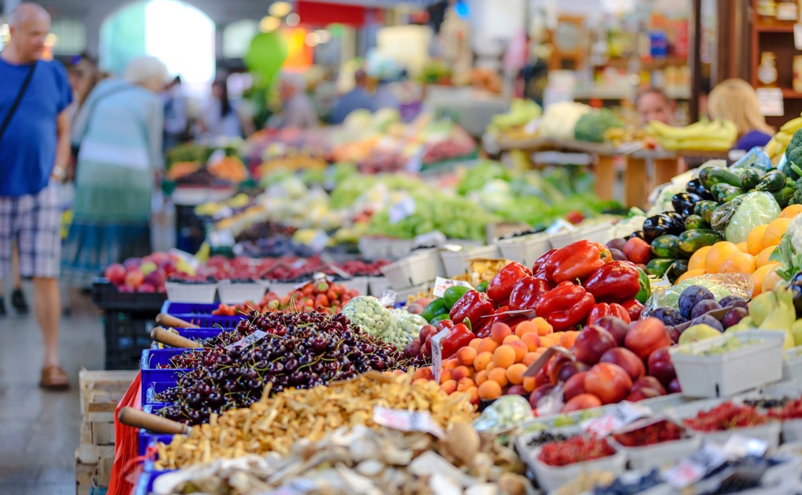 nutrition market elderly nutrition market elderly