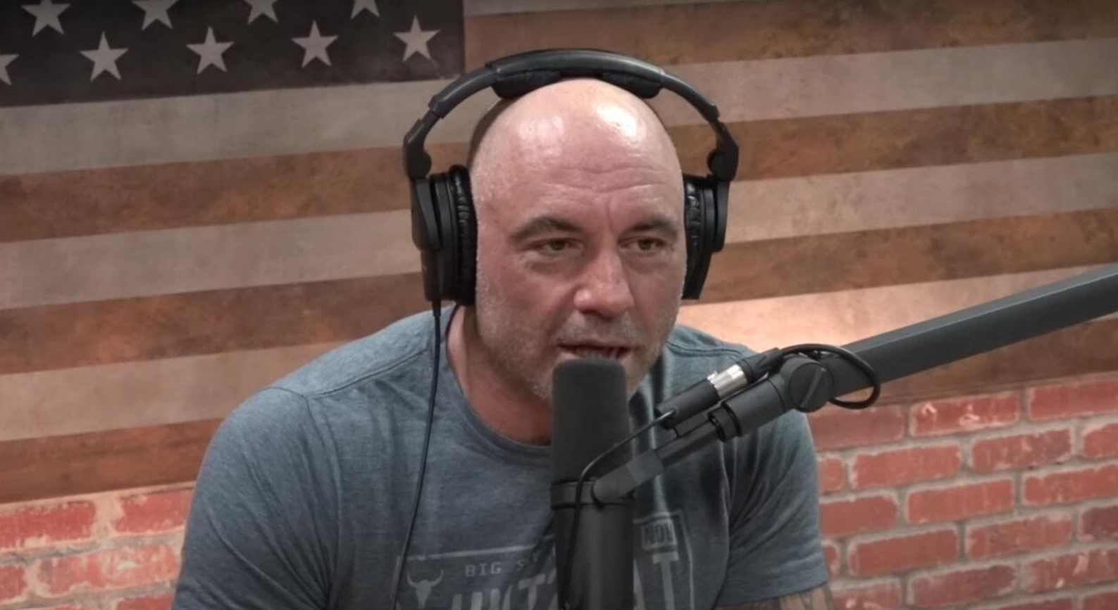 rogan covid rogan covid