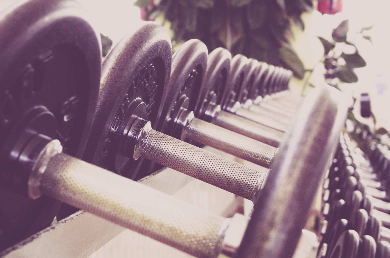 weights pixa
