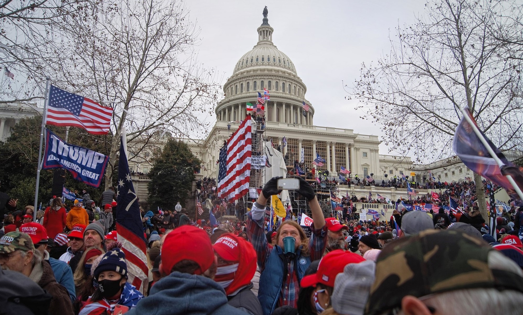 capitol wiki