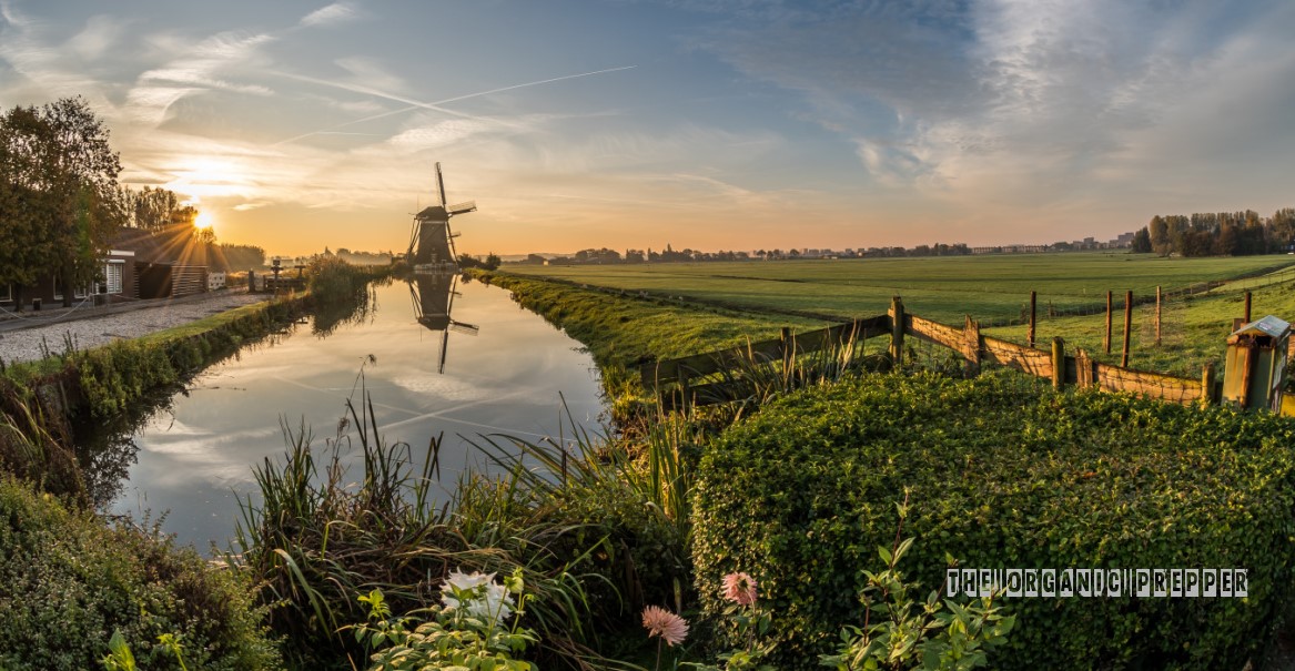 dutch farms op