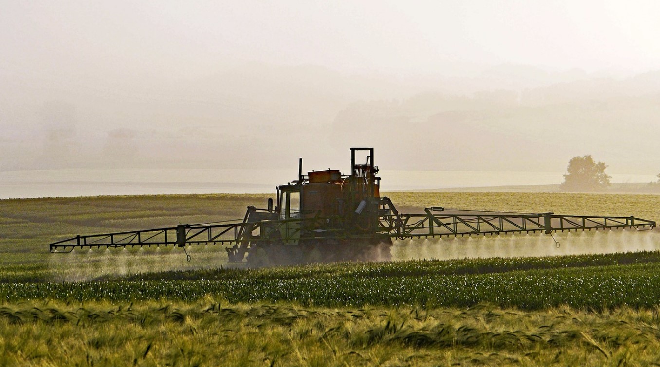 glyphosate
