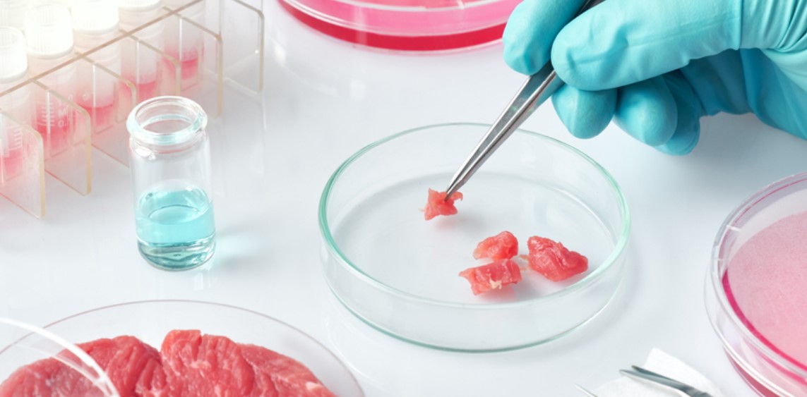 biotech meat biotech meat