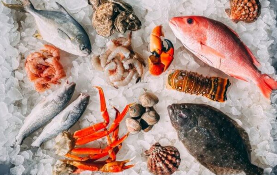 fish unsplash