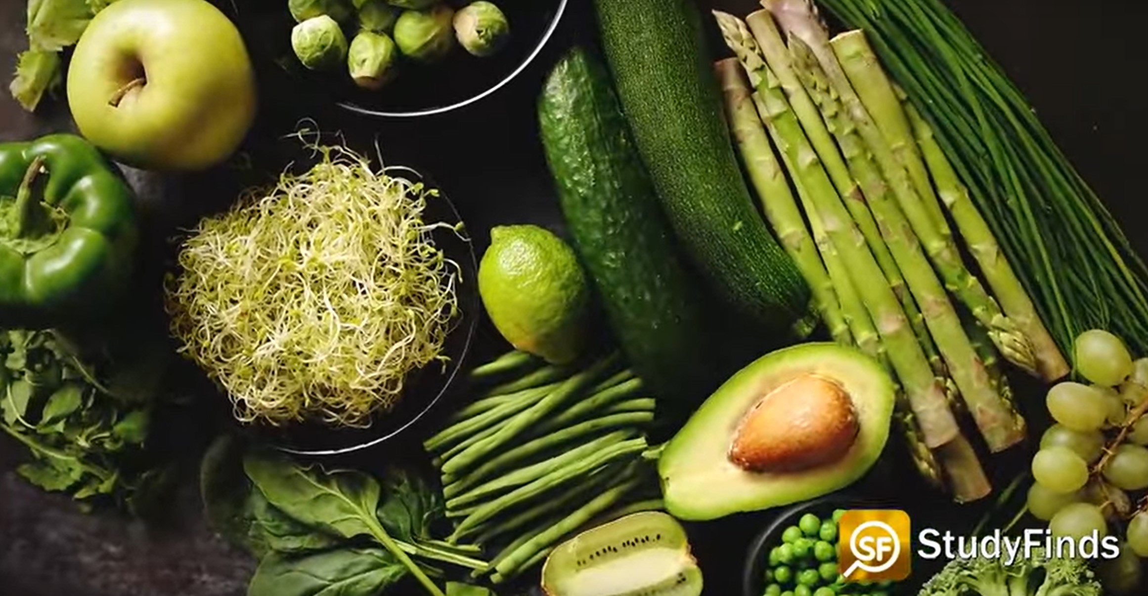 healthy diet sf healthy diet sf