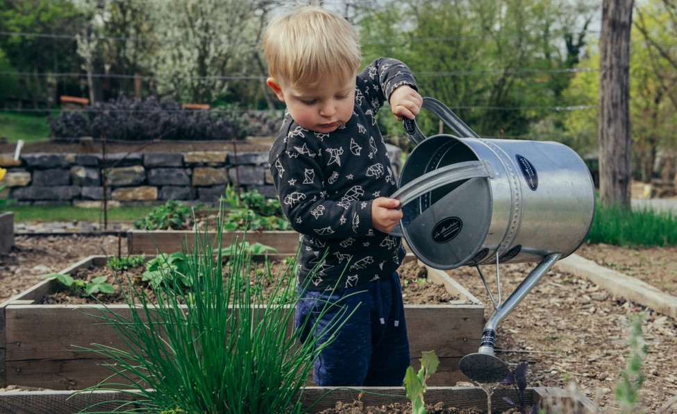 kid garden
