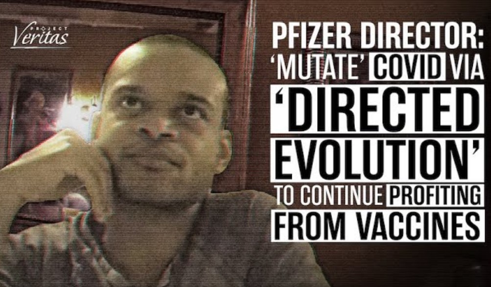 pfizer director